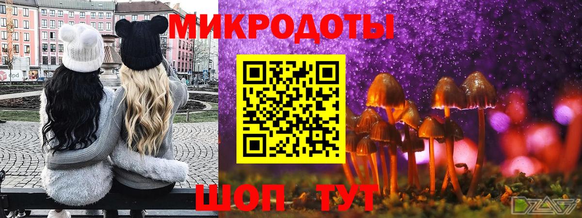 Галлюциногенные грибы мицелий  Вход с VPN  Балтийск  Галлюциногенные грибы Psilocybe 