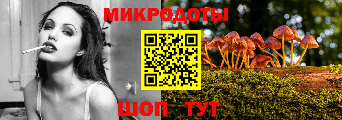 Псилоцибиновые грибы Psilocybine cubensis Балтийск